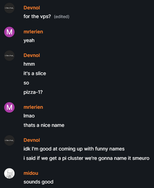 The internal discussion that lead to the naming of the VPS as Pizza-1.